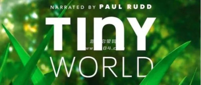 《小小世界 Tiny World》 第一季 英文版 [全6集][中英双字幕][4K超清][MP4]-1