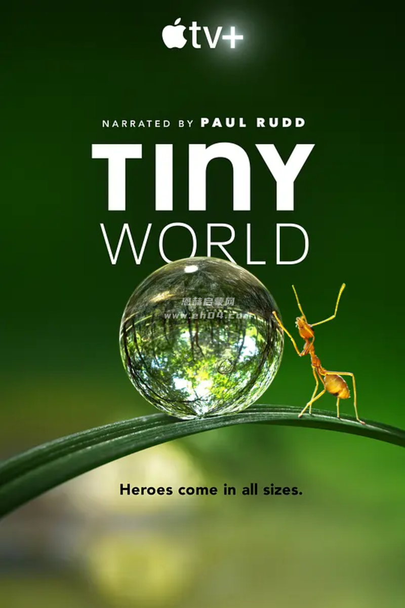 《小小世界 Tiny World》 第一季 英文版 [全6集][中英双字幕][4K超清][MP4]-5