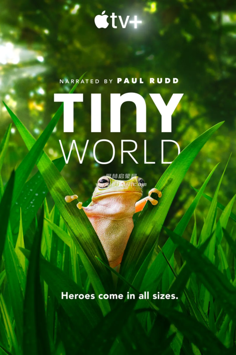 《小小世界 Tiny World》 第一季 英文版 [全6集][中英双字幕][4K超清][MP4]-6