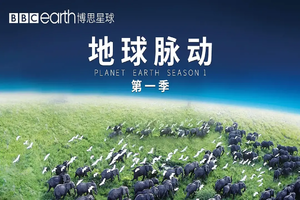 《地球脉动 Planet Earth》第1季 英文版 [全11集][中文字幕][1080P][MP4]