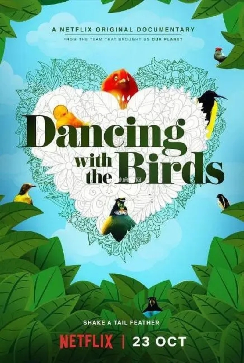 英语自然纪录片《与鸟共舞/与雀共舞:Dancing with the Birds》英文版[中文字幕][1080P][MP4]-2