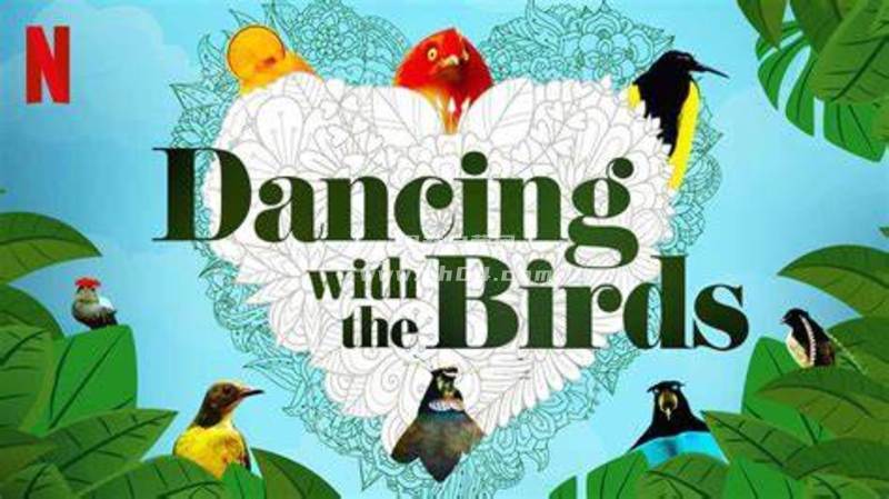 英语自然纪录片《与鸟共舞/与雀共舞:Dancing with the Birds》英文版[中文字幕][1080P][MP4]-1