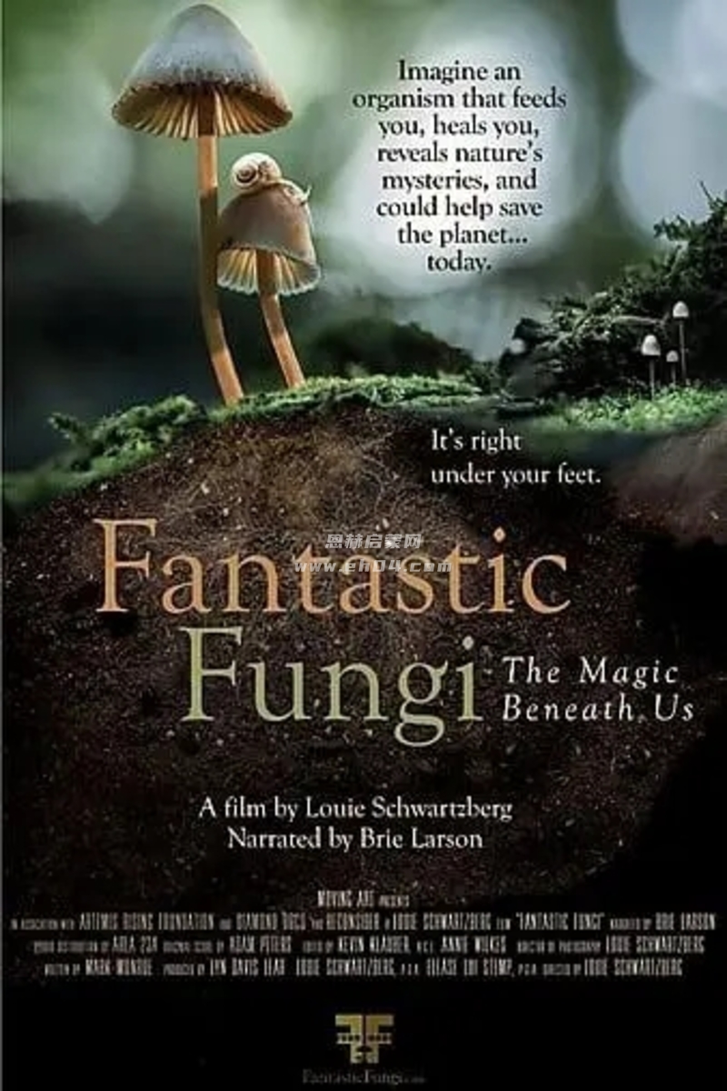 英语高分纪录片《神奇的真菌:Fantastic Fungi (2019)》英文版[英语字幕][4K分辨率][MKV]-2