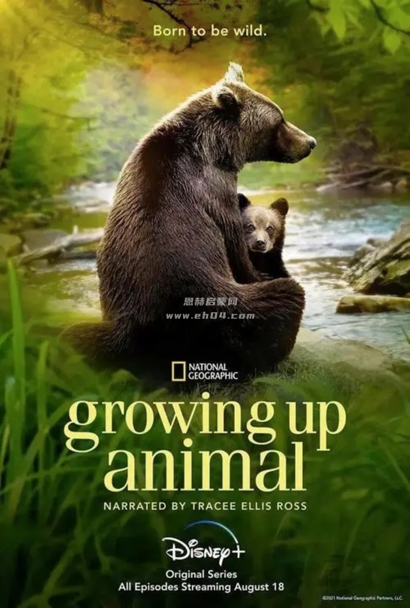 国家地理纪录片《动物成长 Growing Up Animal (2021)》第一季英文版[全6集][中文字幕][1080P][MP4]-2