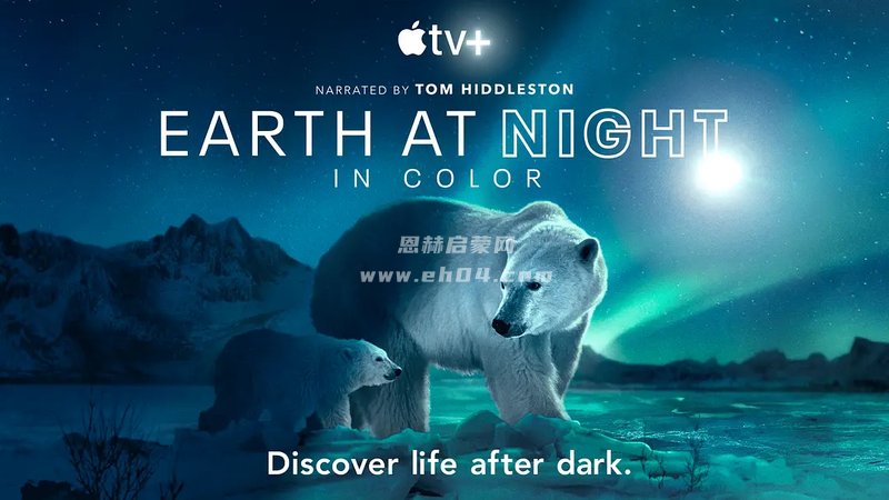 苹果TV自然纪录片《夜色中的地球:Earth at Night in Color(2021)》第2季 英文版[全6集][中英双字幕][1080P][MP4]-1